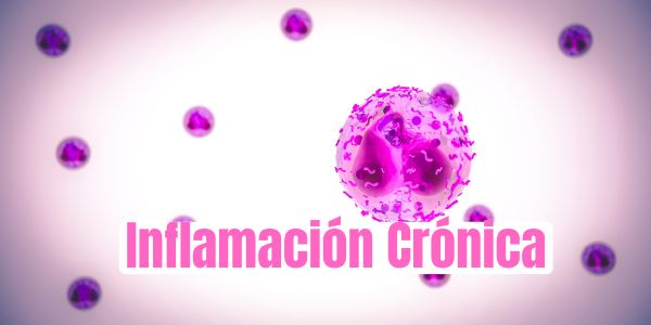 Inflamación Crónica